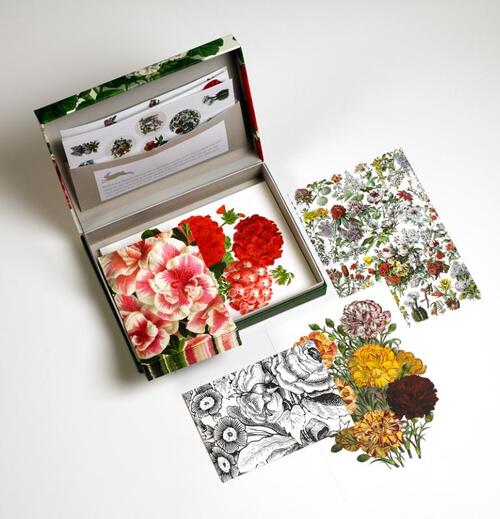 Flower Prints - Letter Writing Set