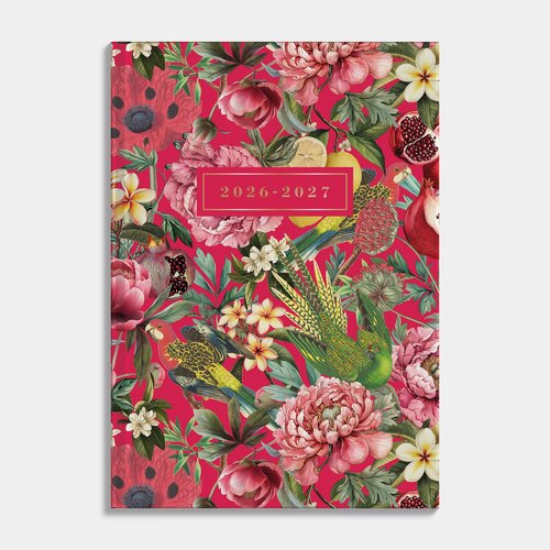 Agenda Mini D2 26/27