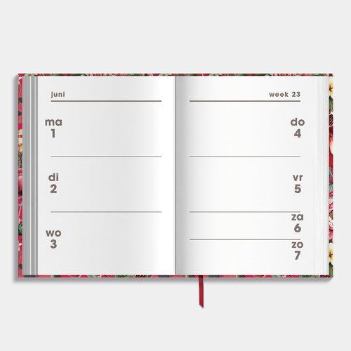 Agenda Mini D2 26/27
