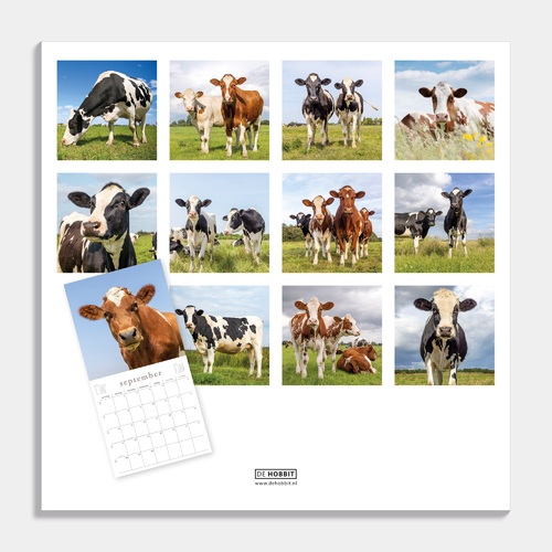 Jaarkalender Koeien 2026