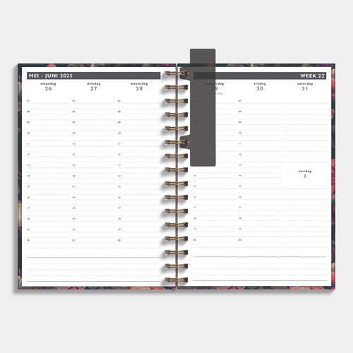 Afsprakenagenda D4 25/26 Klassiek