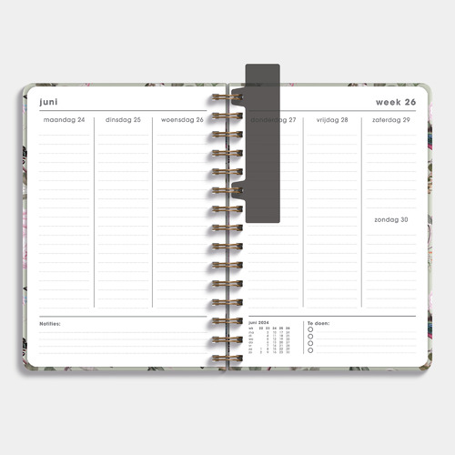 Agenda 18 maanden D4 24/25