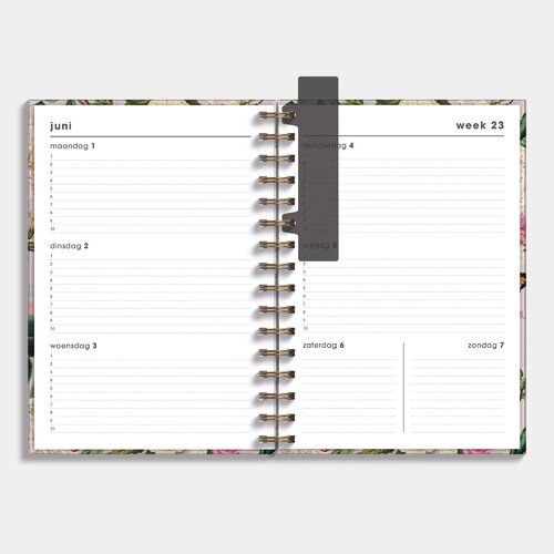 Ringband Agenda 2026-2027 A5 Brocante