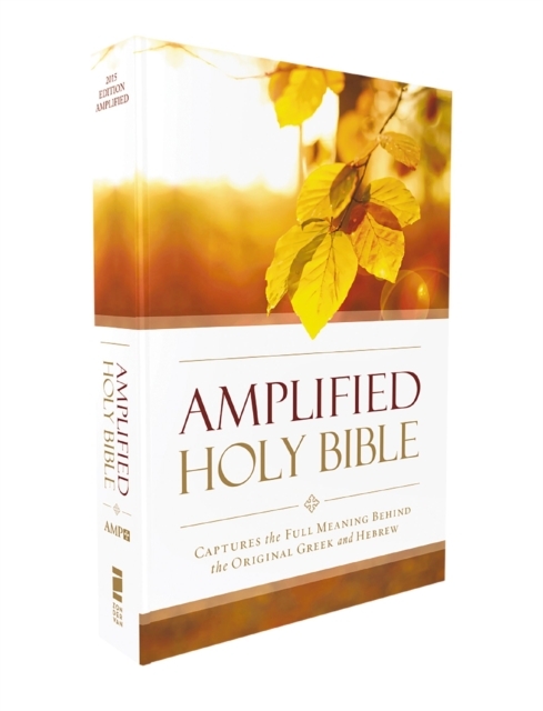 Amplified Outreach Bible, Paperback