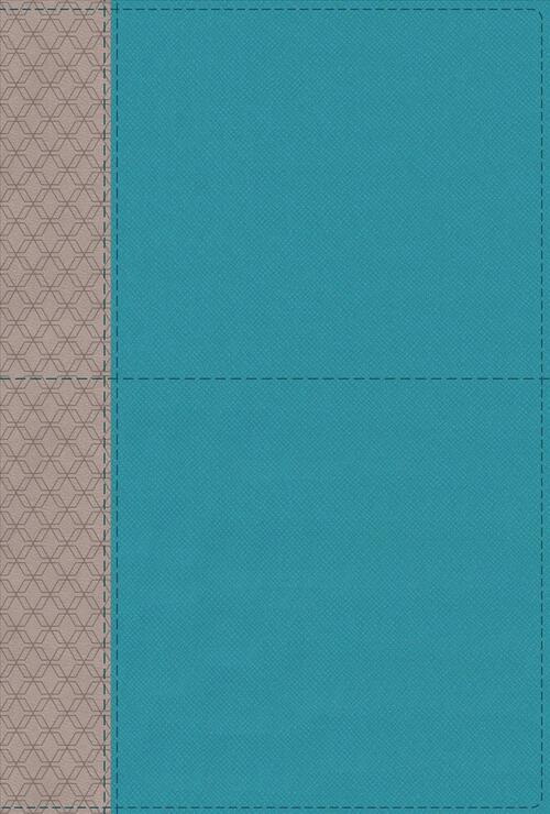 NIV Study Bible, Fully Revised Edition, Leathersoft, Teal/Gray, Red Letter, Comfort Print