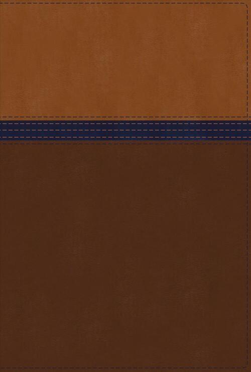 NIV Study Bible, Fully Revised Edition, Personal Size, Leathersoft, Brown/Blue, Red Letter, Comfort Print