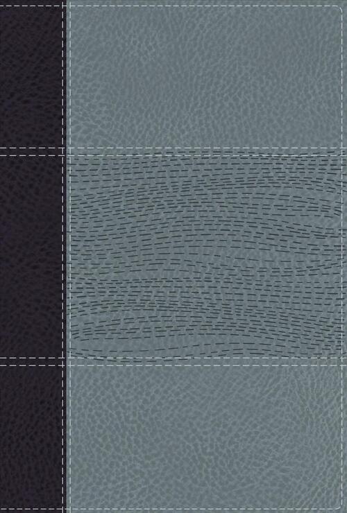 NIV Study Bible, Fully Revised Edition, Personal Size, Leathersoft, Navy/Blue, Red Letter, Comfort Print