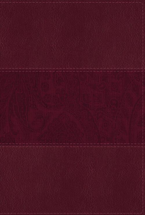 NIV Study Bible, Fully Revised Edition, Large Print, Leathersoft, Burgundy, Red Letter, Comfort Print