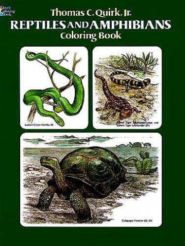 Reptiles and Amphibians Coloring Book
