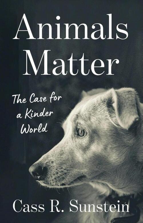 Animals Matter