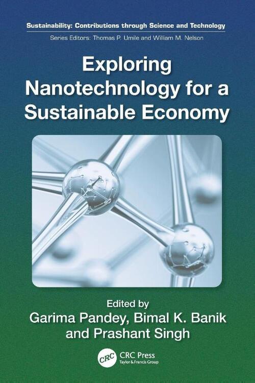 Exploring Nanotechnology for a Sustainable Economy