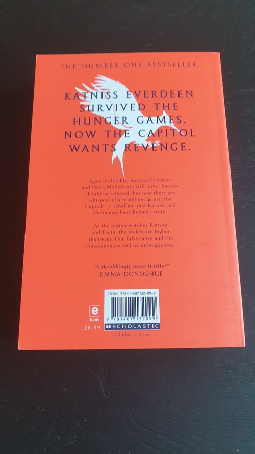 Catching Fire - New Edition