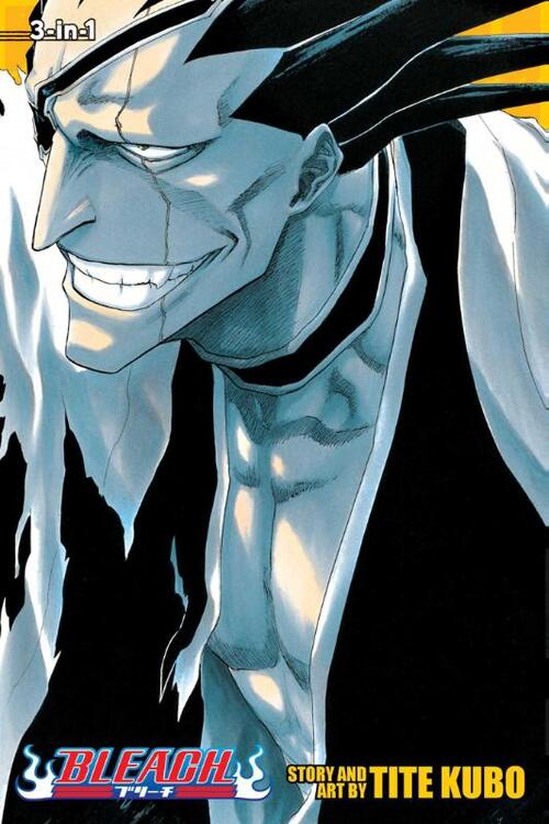 Bleach (3-in-1 Edition), Vol. 5