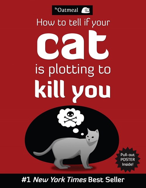 How to tell if your cat is plotting to kill you