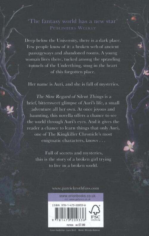 The Slow Regard of Silent Things