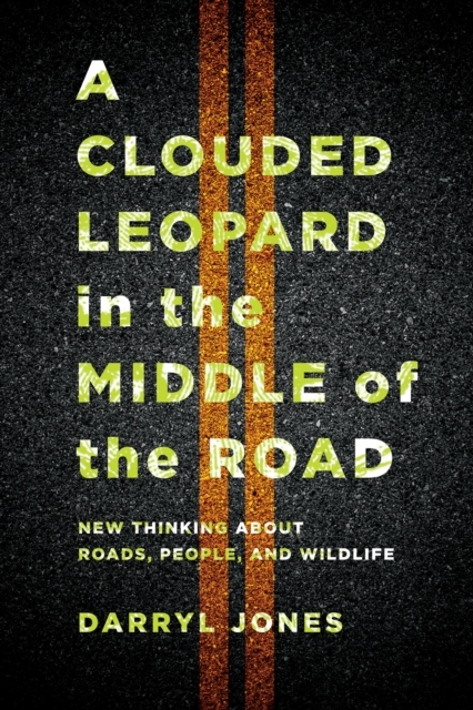 A Clouded Leopard in the Middle of the Road