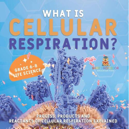 What is Cellular Respiration? Process, Products and Reactants of Cellular Respiration Explained | Grade 6-8 Life Science