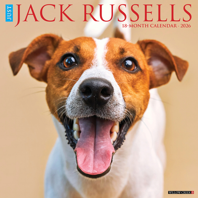 Jack Russells 2026 Wall Calendar