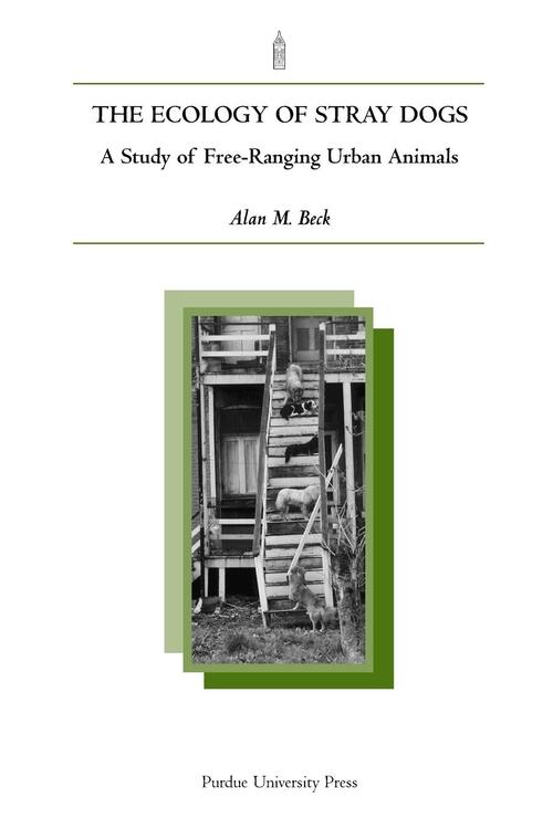 The Ecology of Stray Dogs