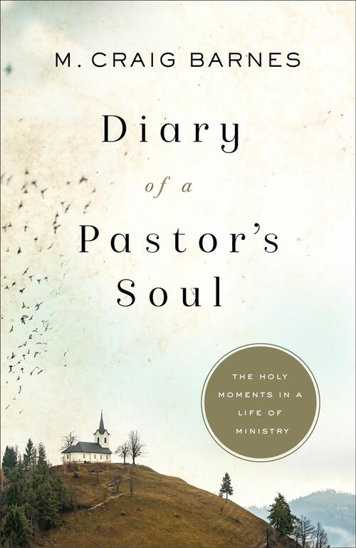Diary of a Pastor`s Soul – The Holy Moments in a Life of Ministry