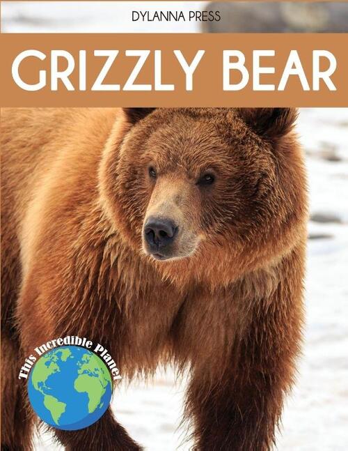 Grizzly Bear