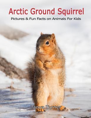 Arctic Ground Squirrel: Pictures and Fun Facts on Animals for Kids