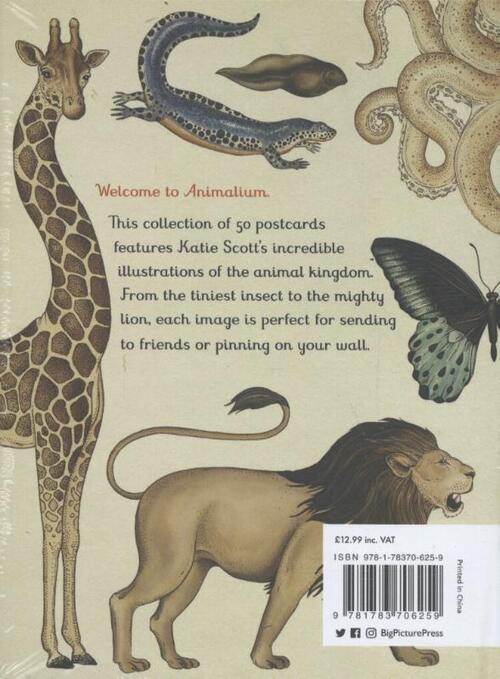 Animalium Postcards