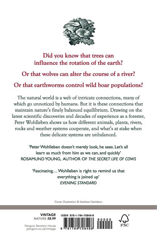 The Secret Network of Nature
