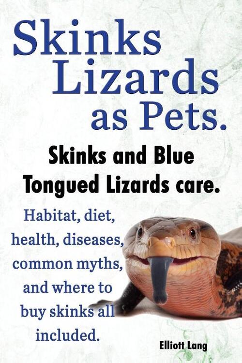 Skinks as Pets. Blue Tongued Skinks and other skinks care, facts and information. Habitat, diet, health, common myths, diseases and where to buy skinks all included.