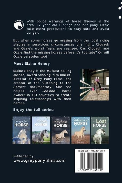 The Stolen Horse - Dyslexia Friendly