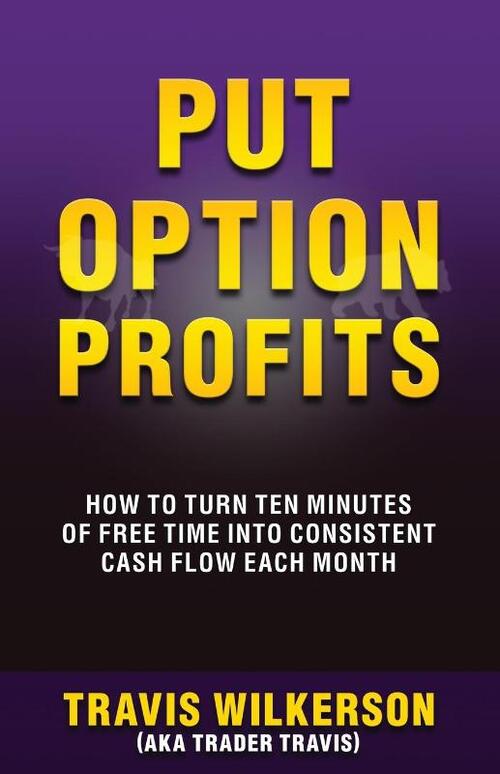 Put Option Profits