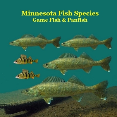 Minnesota Game Fish and Panfish Species Kids Book: Great Book About the Different Types of Fish in Minnesota