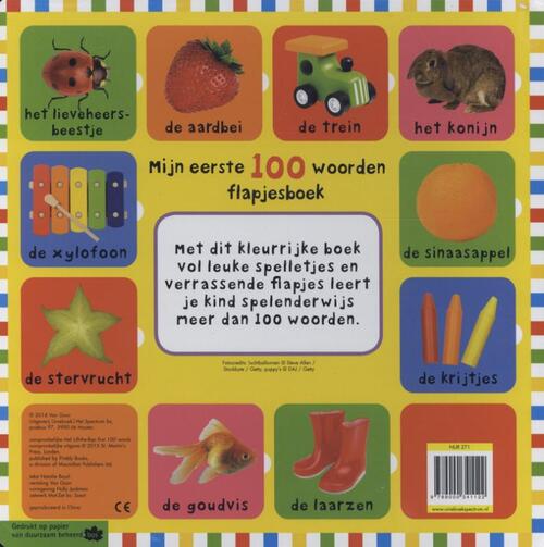 Mijn eerste 100 woorden flapjesboek