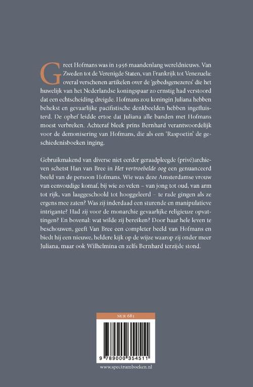 Het vertroebelde oog