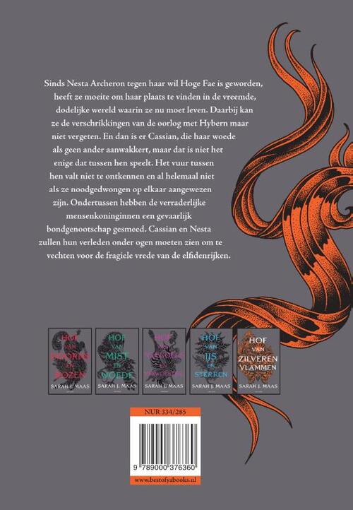 Hof van doorns en rozen 5 - Hof van zilveren vlammen