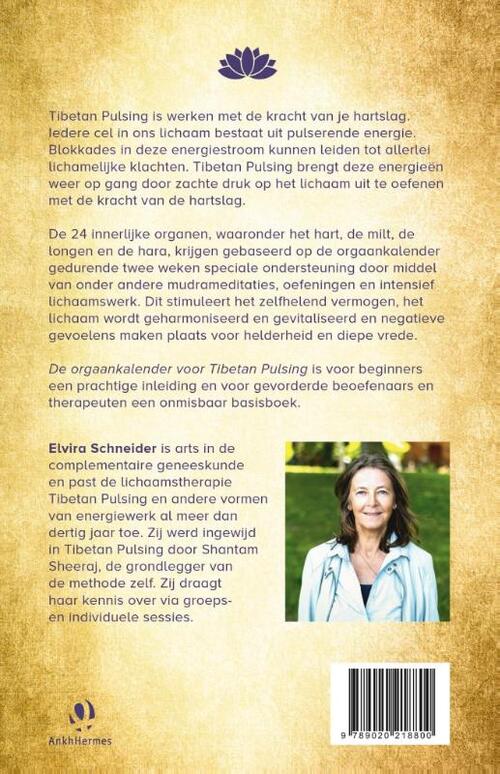 De orgaankalender voor Tibetan Pulsing