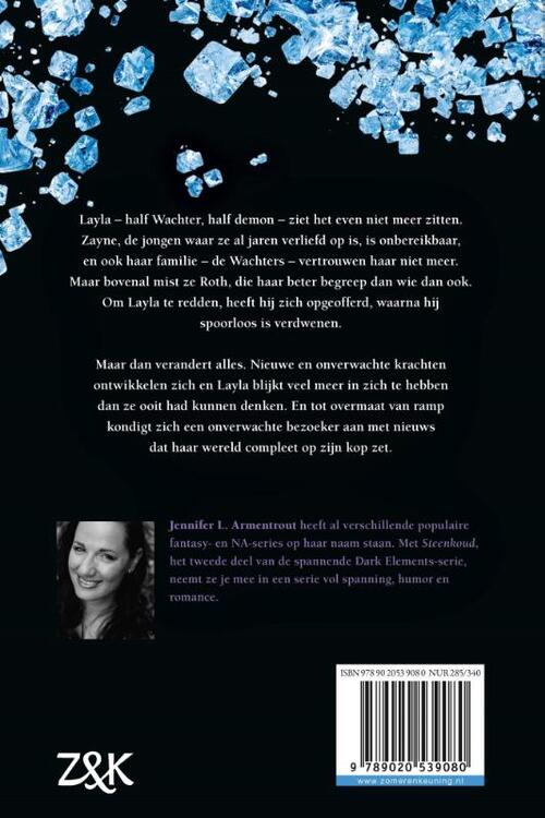 Dark Elements 2 - Steenkoud