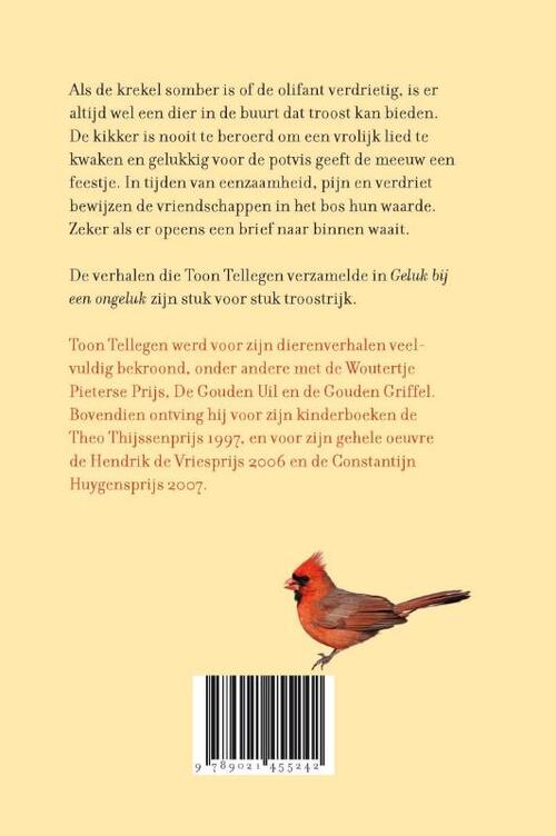 Geluk bij een ongeluk