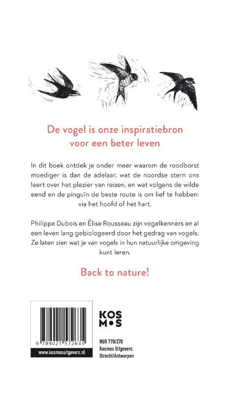 De 22 levenslessen die vogels ons leren