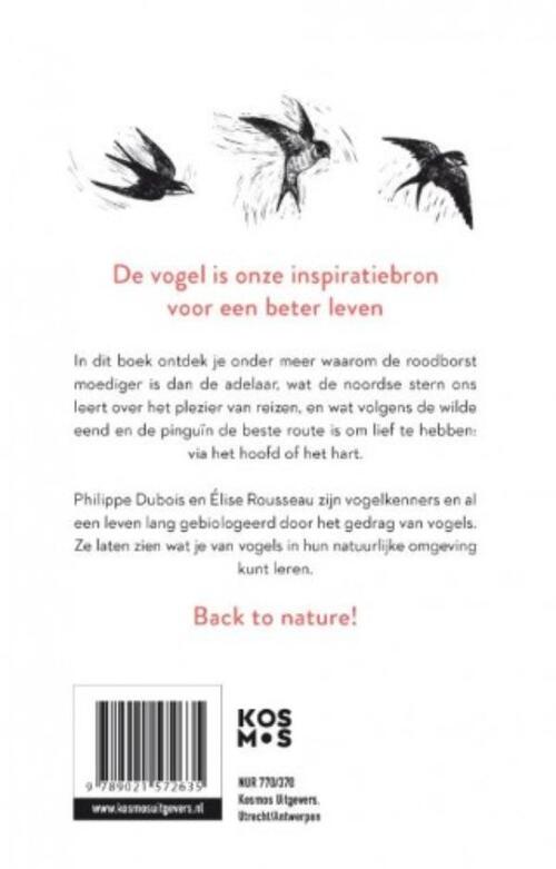 De 22 levenslessen die vogels ons leren