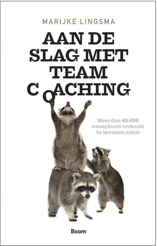 Aan de slag met teamcoaching