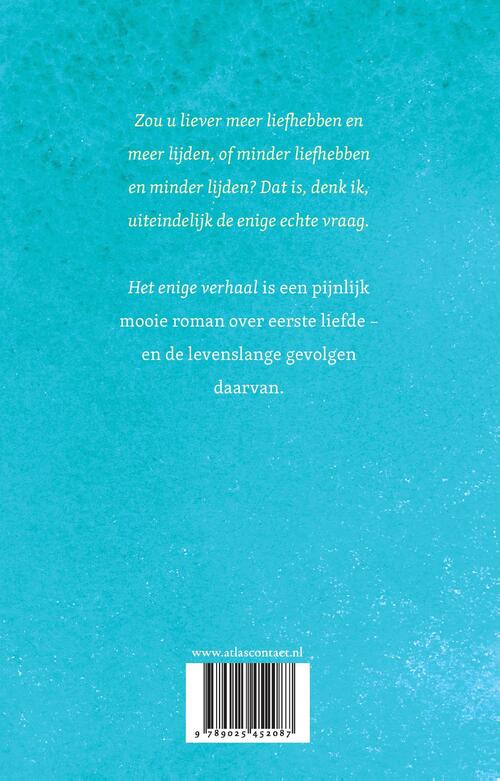 Het enige verhaal