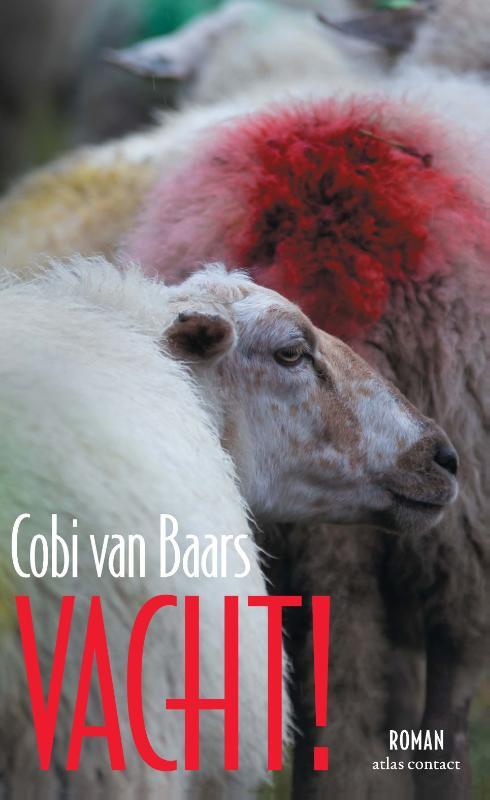 Vacht!