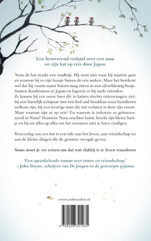 Reisverslag van een kat