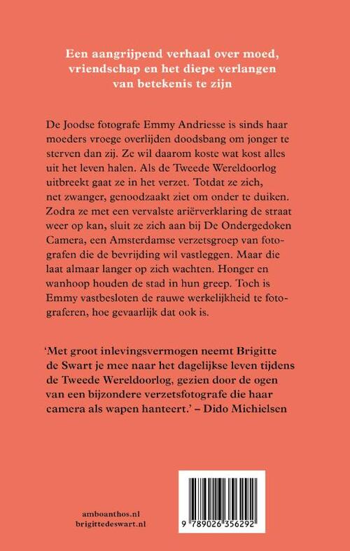 In licht bevroren