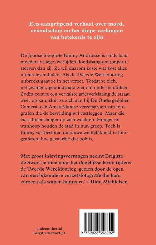 In licht bevroren