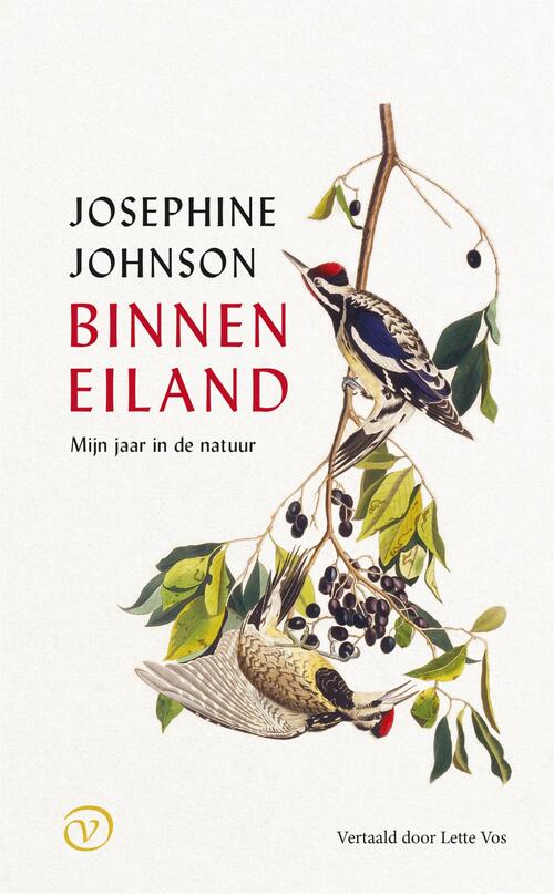 Binneneiland