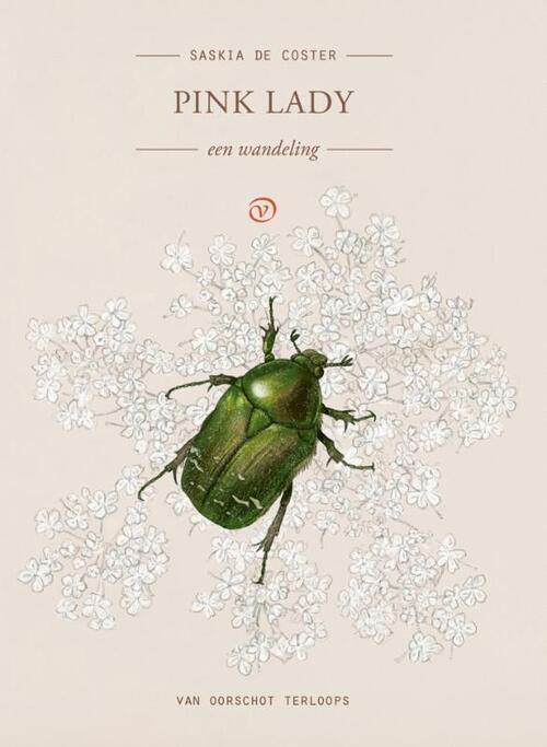Pink Lady