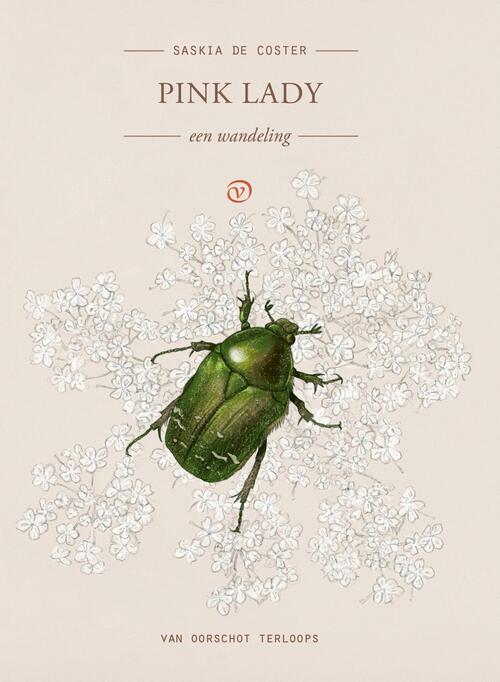 Pink Lady