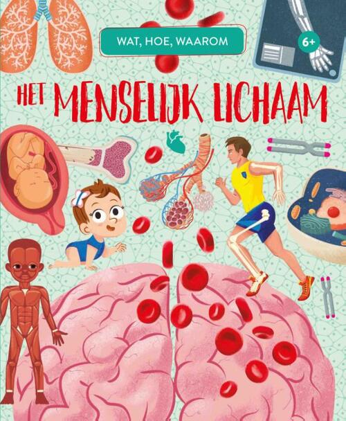 Het Menselijk Lichaam, Rebo Productions | Boek | 9789036644839 | ReadShop